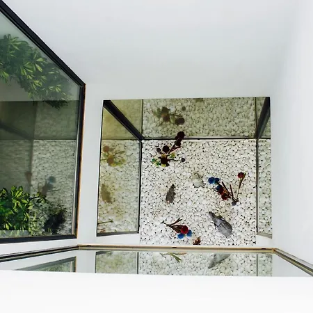 Villa Luxury Chelsea For Golf & Relax In Location
