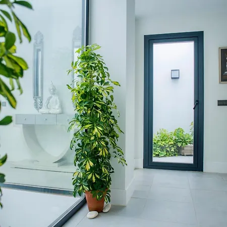 Luxury Chelsea For Golf & Relax In Location * Estepona